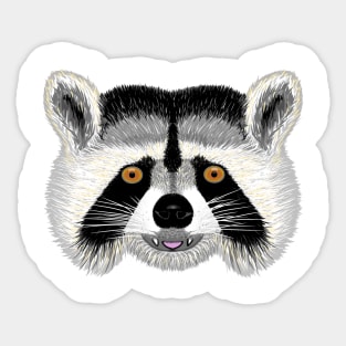 Cute raccoon face classic Sticker